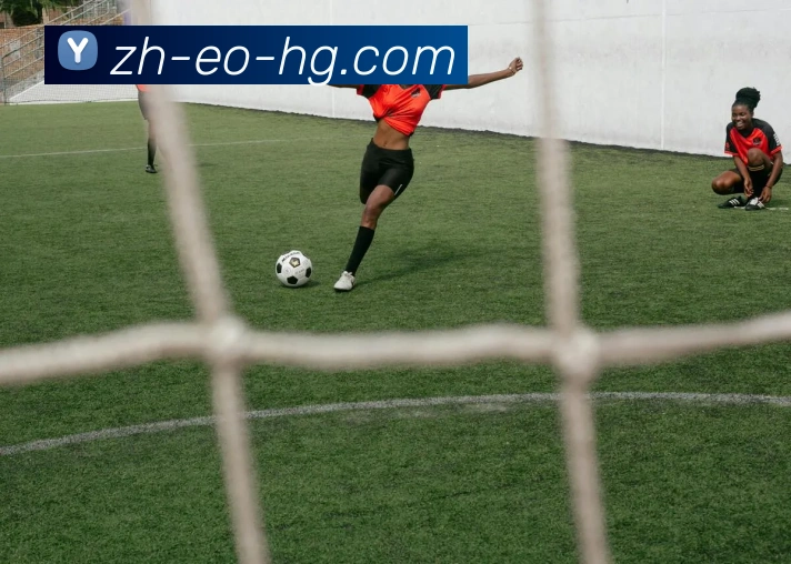 皇冠体育官网APP 封面图